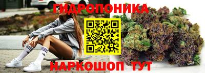 хмурый Абакан