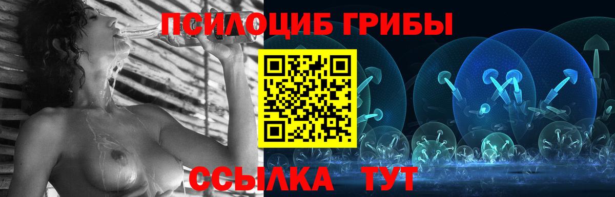 Псилоцибиновые грибы Cubensis Анапа